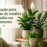 Adubação para plantas de sombra cultivadas em apartamento