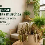 Como recuperar plantas murchas em varanda sem sol direto