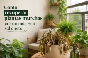 Como recuperar plantas murchas em varanda sem sol direto